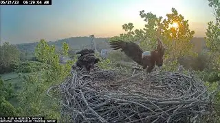 Live from the NCTC Eagle's Nest