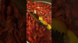 Boiled Crawfish in Lake Village, Arkansas