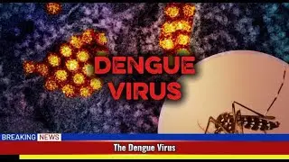 AS114 MIC281| VIDEO PRESENTATION | DENGUE