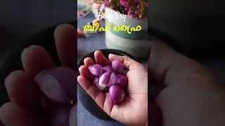 കിടിലൻ ബീഫ് ഫ്രൈ | Beef Varattiyathu | Beef Fry Recipe Malayalam | Naadan Beef Fry | Kerala Beef Fry