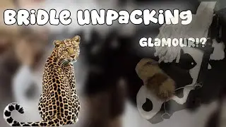 𝐍𝐄𝐖 𝐁𝐑𝐈𝐃𝐋𝐄 𝐅𝐎𝐑 𝐇𝐎𝐁𝐁𝐘 𝐇𝐎𝐑𝐒𝐄 // unpack with me