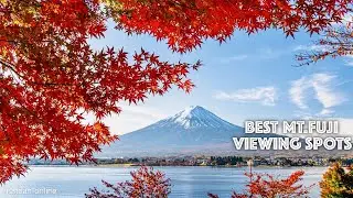 Fuji mountain Japan | Top best spots to view mountain Fuji at the autumn  【富士山】| #explorejapan #4k