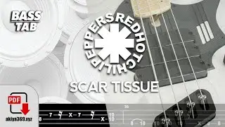 SCAR TISSUE / RED HOT CHILI PEPPERS【BASS TAB】