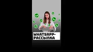 Программа для Whatsapp рассылки