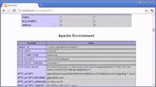 How to use the function in PHP (The phpinfo Function)