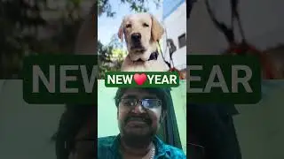 நாளை முதல் குடிக்க மாட்டேன் சத்தியம் பண்ணலை🤣😂😛#trending #reaction #dog #comedy #win #ytviral #reels