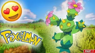Catching Maractus And Swanna Pokemon 🔥 : Pixelmon : Pokemon in Minecraft #7