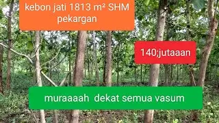✓KEBON jATi  1813 m² harga drooooop@YbProperty-v4x 