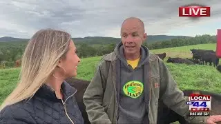 New England's largest corn maze!