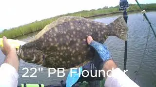 Monster Flounder