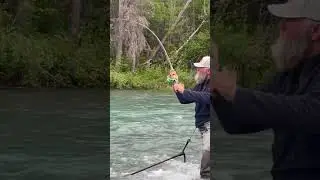 Switch Cast Switch Rod!