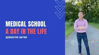 A Day in the Life of a First Year Medical Student