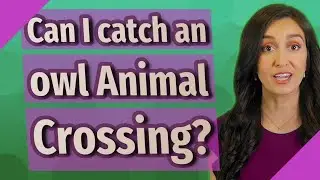 Can I catch an owl Animal Crossing?