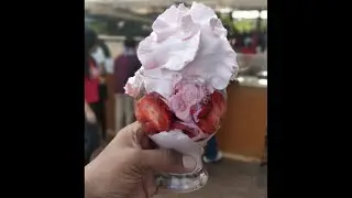 Mahabaleshwar Fresh Strawberry Cream at Mapro Garden - Full  Video