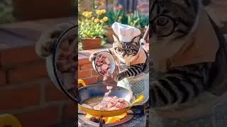 #cooking cat#cat cooking food #animal cooking #animal #cat videos cooking show #funny cat videos