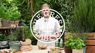 The Green Lab Co. Handzeep Tabletten Bergamot