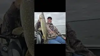 pike fishing  #ownerhooks  #gloomis #pline #diawareels #fishing #stcroixrods  #pikefishing