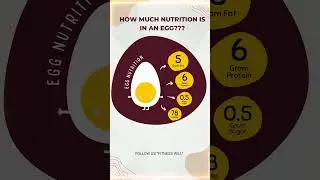 How much nutrition is in an Egg #egg #nutrition #nutritionalvalueofegg #eggnutrition #shorts #viral