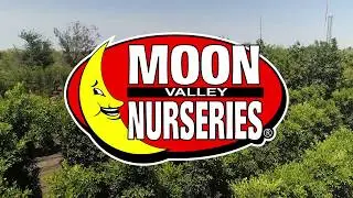 Moon Valley Nurseries Chandler