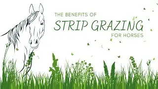 Benefits of strip grazing