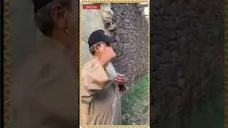 وطن آل ينفع