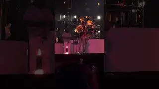 harry styles - fine line (full version) - @ hslot horsens 2023