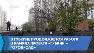 В Губкине продолжается работа в рамках проекта &laquo;Губкин &ndash; город сад&raquo;