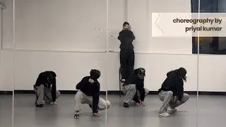 Timeless - The Weeknd | Choreography by Priyal Kumar
