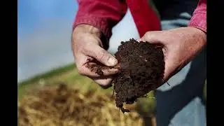 Compost at Littorai
