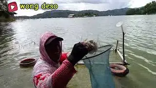 mancing ikan nila, di bukit batas riam kanan