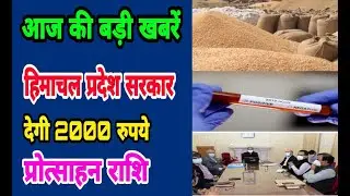 HP NEWS |#बड़ी_खबरें​ #Todayhimachal | Breaking News Himachal | #Latest News Update Himachal