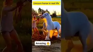 Unicorn horse in real life 🦄 #short #ytshort #viralshort