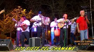 LOS SIETE DEL CHAMAME