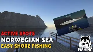 RF4 Spots - Norwegian Sea - Easy Shore Fishing #russianfishing4 #rf4