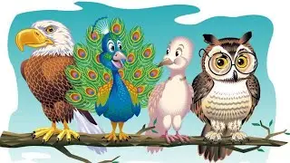 Animal voice parrot 🐦 peacock 🦚 and eagle 🦅#viral #animals #animals