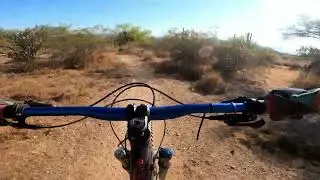 Scorpion trail at Hawes Phoenix Mountain Biking