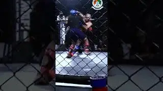 one of the best submission in MMA India. visit our official website www.mmafederation.org