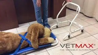 Engler / Dynax Veterinary Stretcher & Cart Combo
