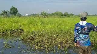Buka spot mancing #fishing #spotrawa #spotbaru #tempatmancing #fyp