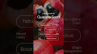 Guarana Seed in DRYVE
