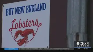 Charlestown Employees Chase Suspect Who Allegedly Took Off With Truck Full Of Lobsters