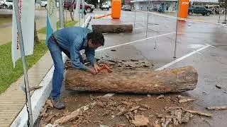 Daniel petcho de la empresa stihl - Sexto Encuentro Internacional de Escultores