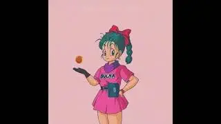 DB Bulma | CopyCat Animation (Retro)