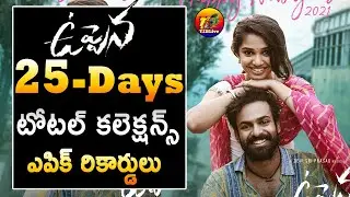 Uppena 25 Days Total World Wide Collections | Uppena 25 Days Collections| Uppena Collections
