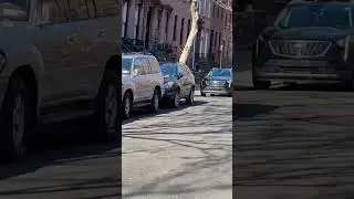 parking in Brooklyn  NY be like! #traffictickets #parkingtickets #secretnyc