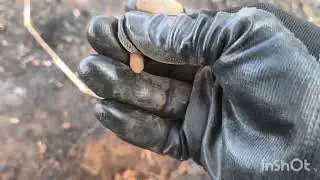 NO LO PODÍA CREER ME QUEDÉ EN SHOW.