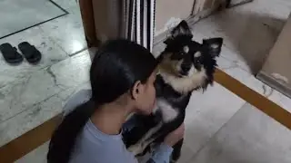 Coco ko Gauri pucchi kr k pagal kr rahi hai 😍