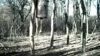 One Month Trailcam Time-Lapse