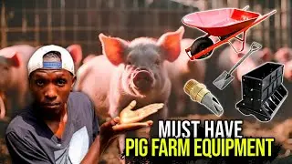 Must Have Equipment For Successful Pig Farming