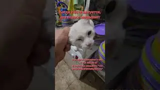 27 ноября 2025 г.